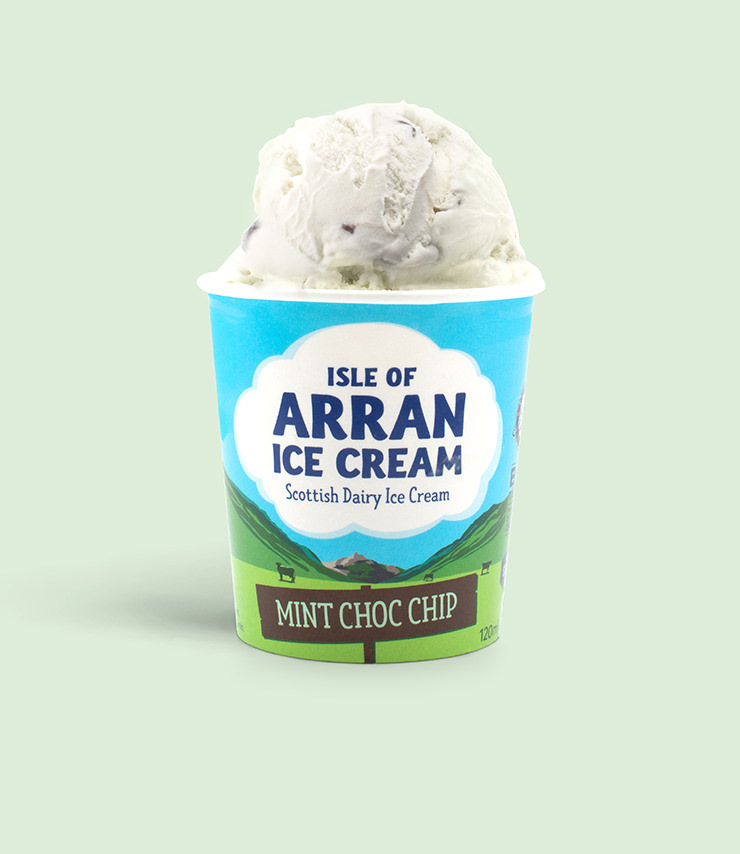 Arran Ice Cream Mint Choc Chip Mini Tub
