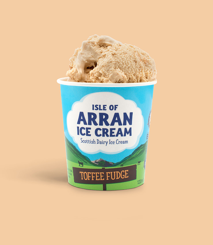 Arran Ice Cream Toffee Fudge Mini Tub